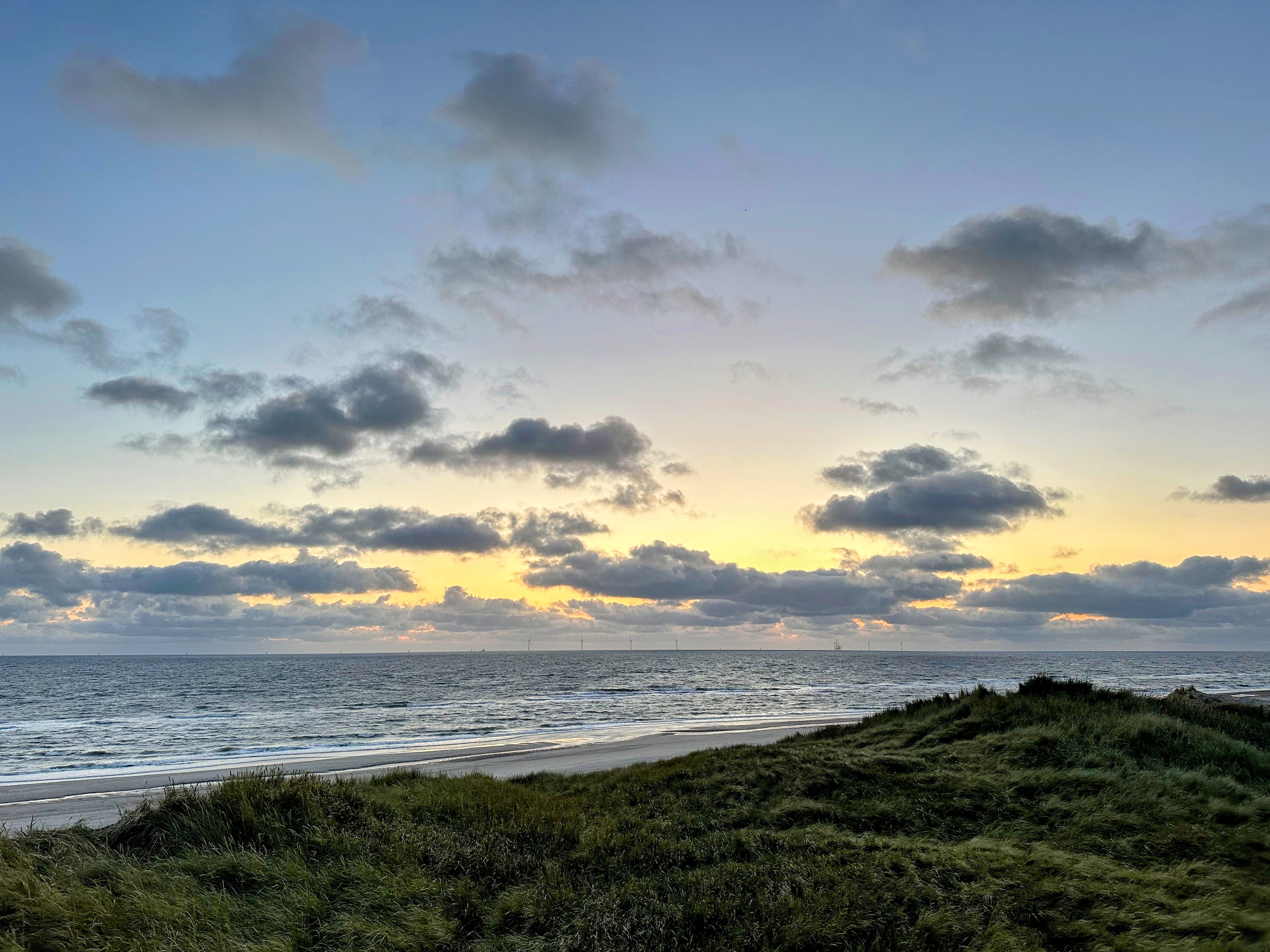 Team collaborating on AI project